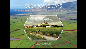 sugar cane days sized